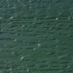 Derksen Portable Buildings - Siding and Trim Color Hunter Green - Homestead Landing